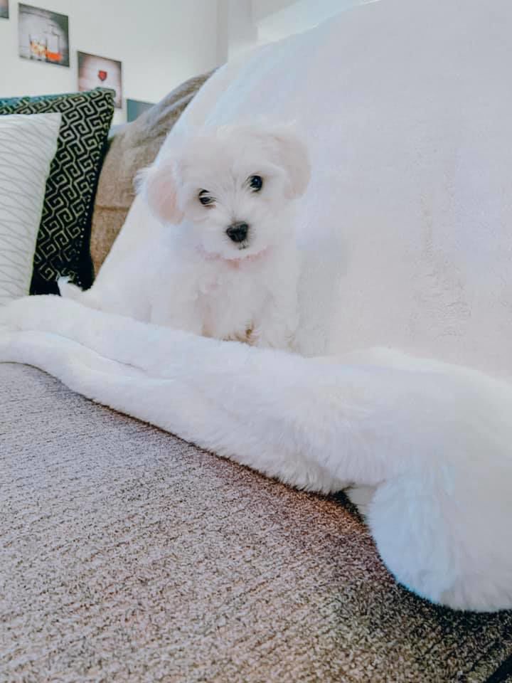 Such a sweet face!